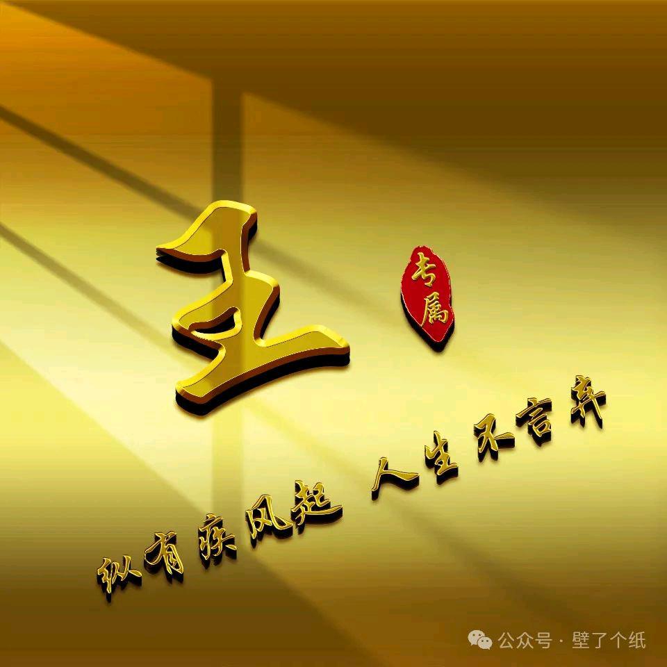 山东曹县王大侠