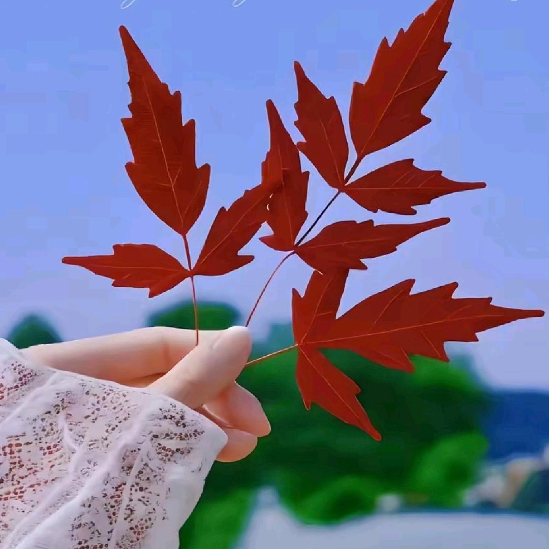 浅浅一笑💫拒私聊