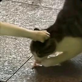 与春未了.