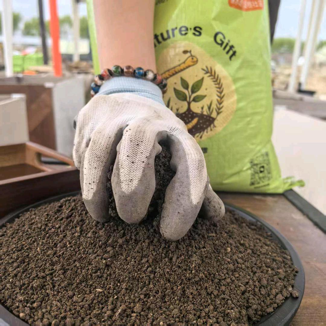 沈阳大自然的馈赠