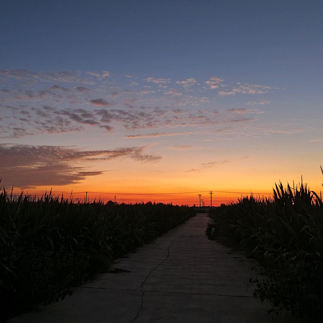 会唱歌的小米（周）