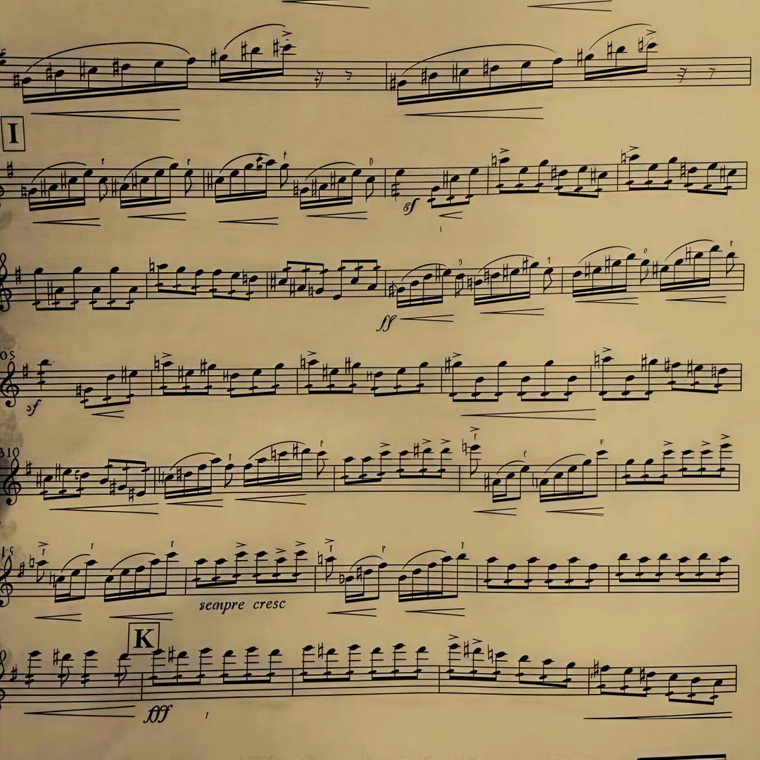 爱练琴的帕西法尔