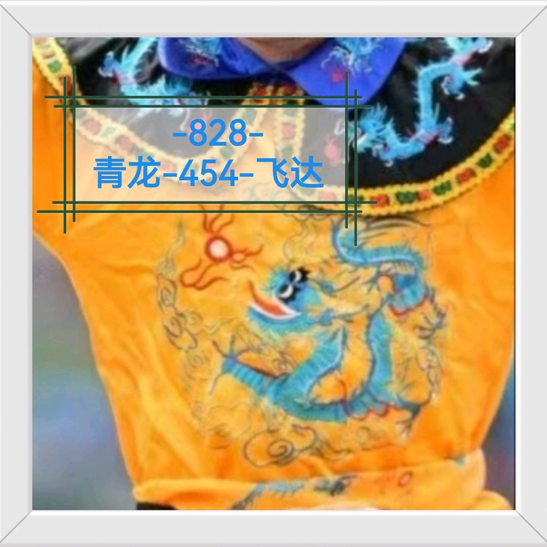 飞达-青龙🐉454