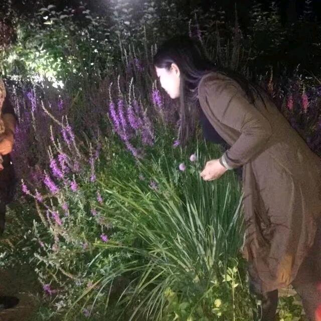 木易姐