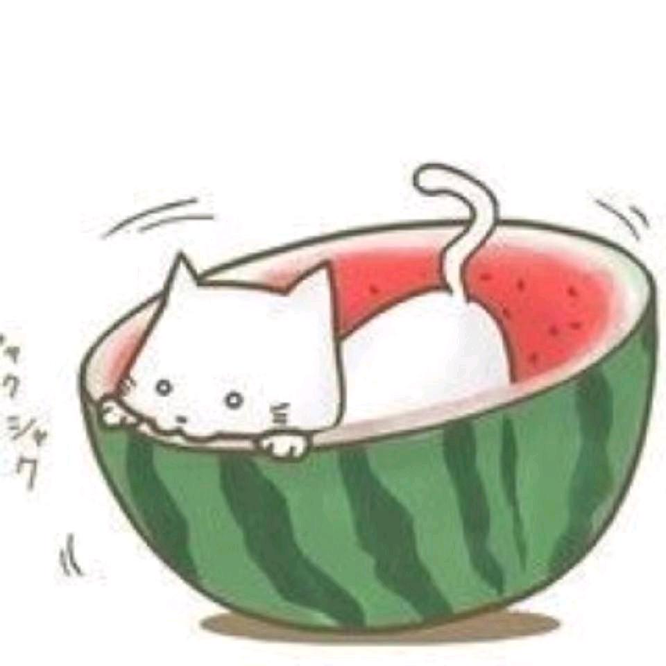 大橘的喵