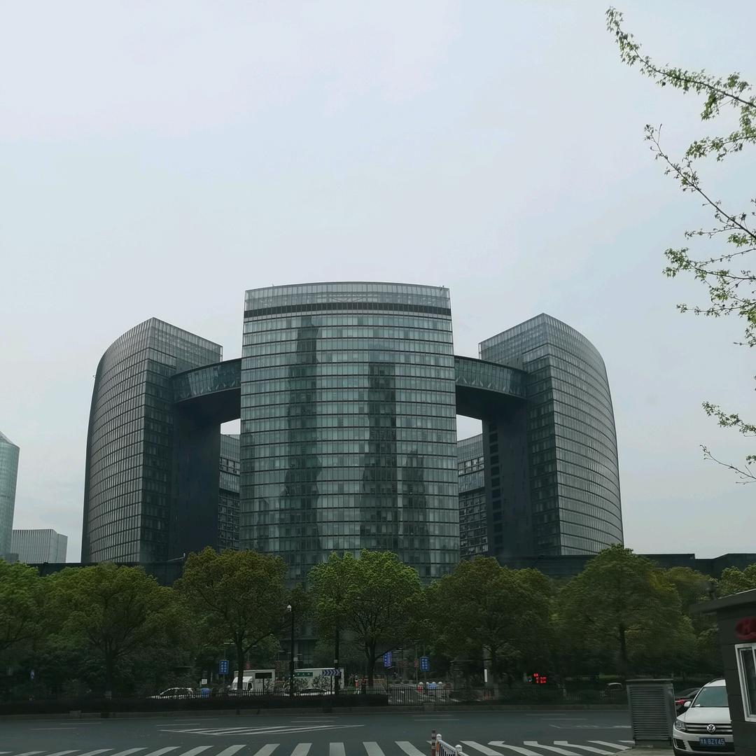 你行我也行