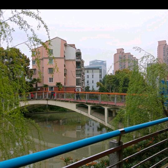 默默无闻🌸🌸拒私聊