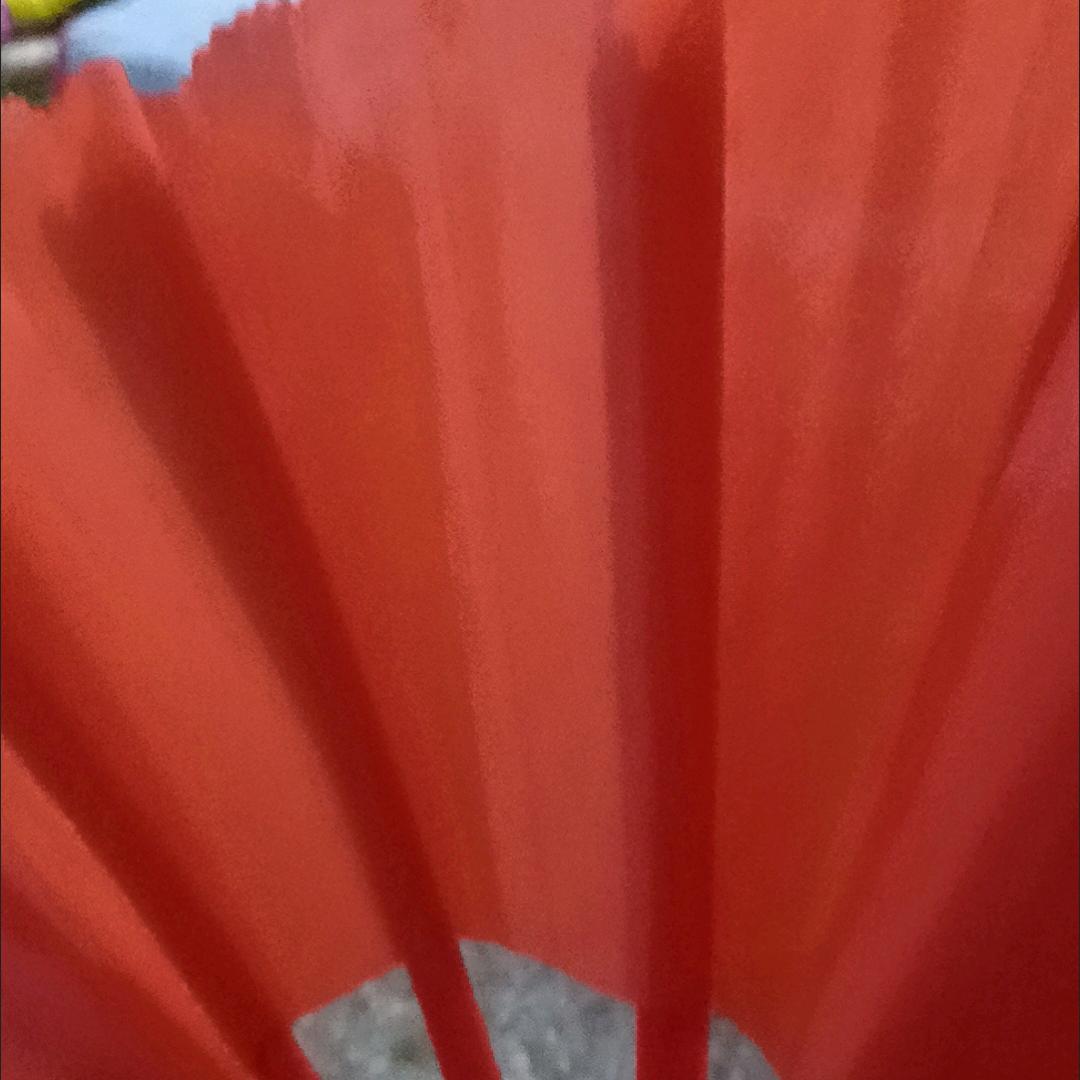 洁洋