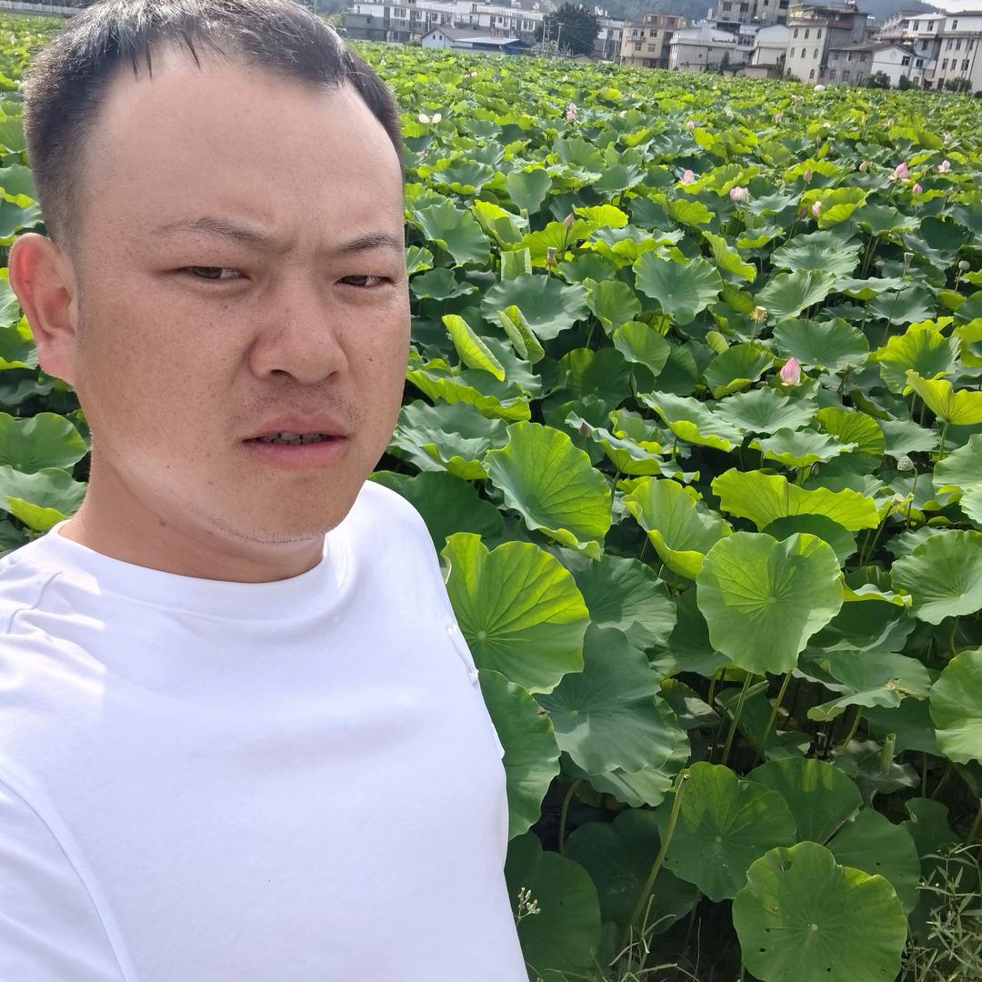 木工小宋