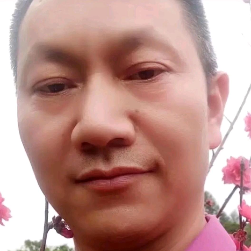 李钟真心真意