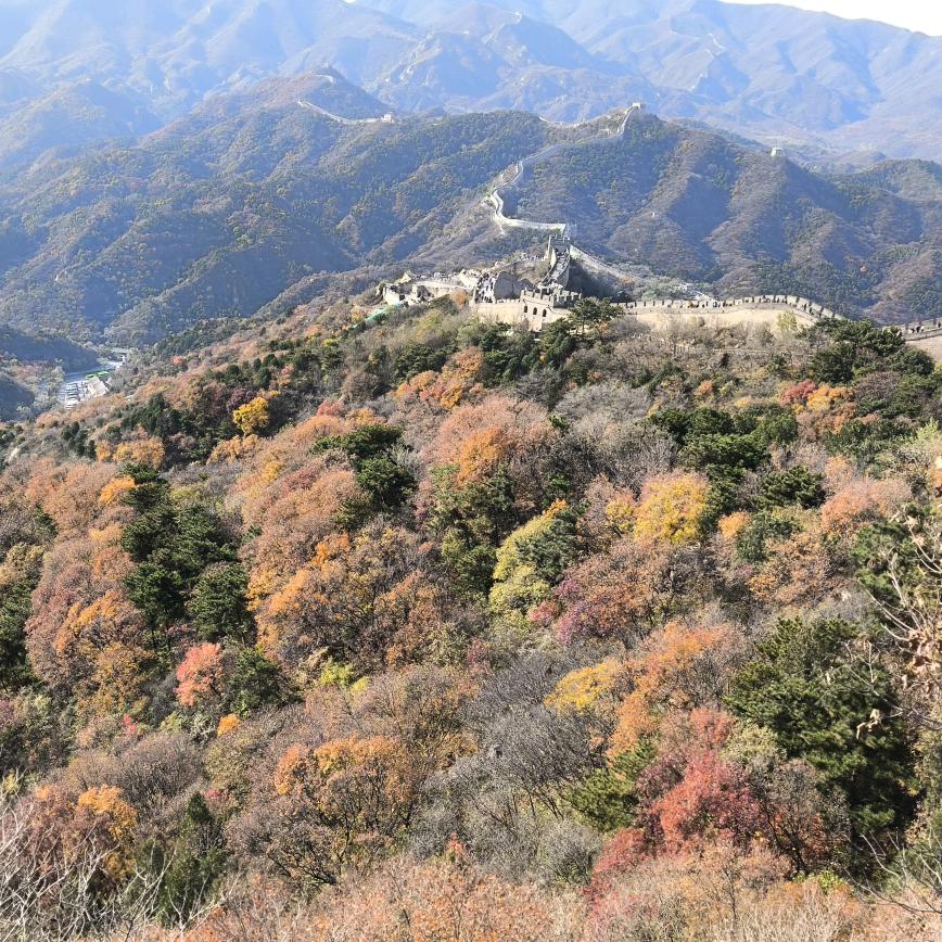 小东
