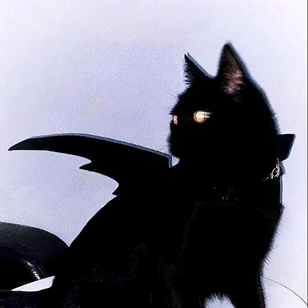 小小猫_