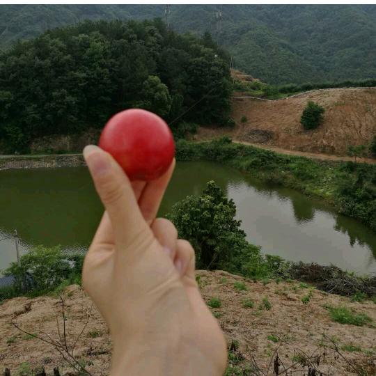 解忧生活仓