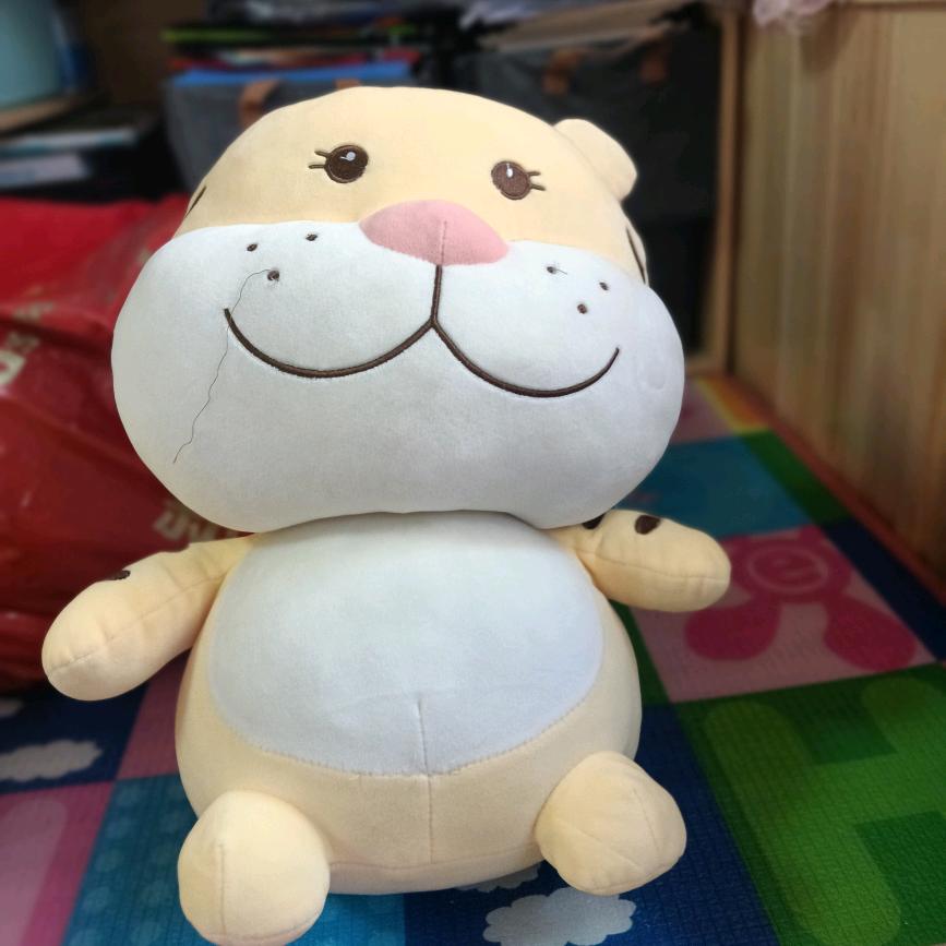 大萍