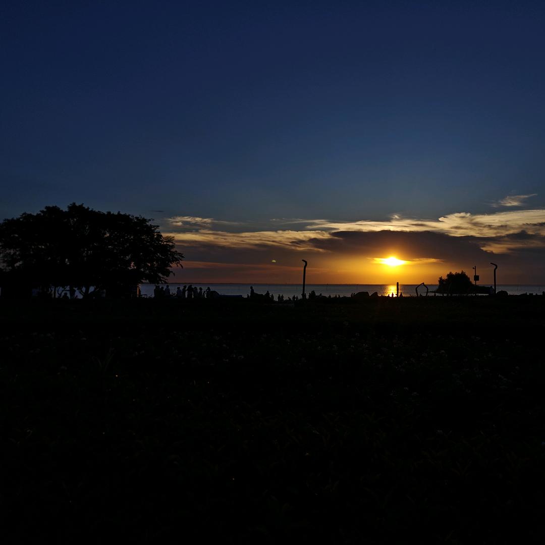 森尼洛克