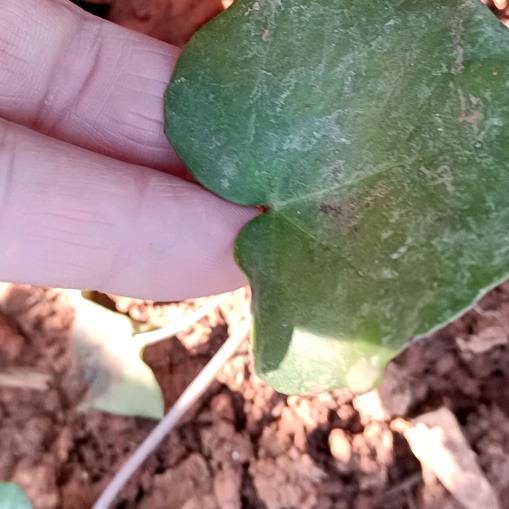 万物为人共生.........