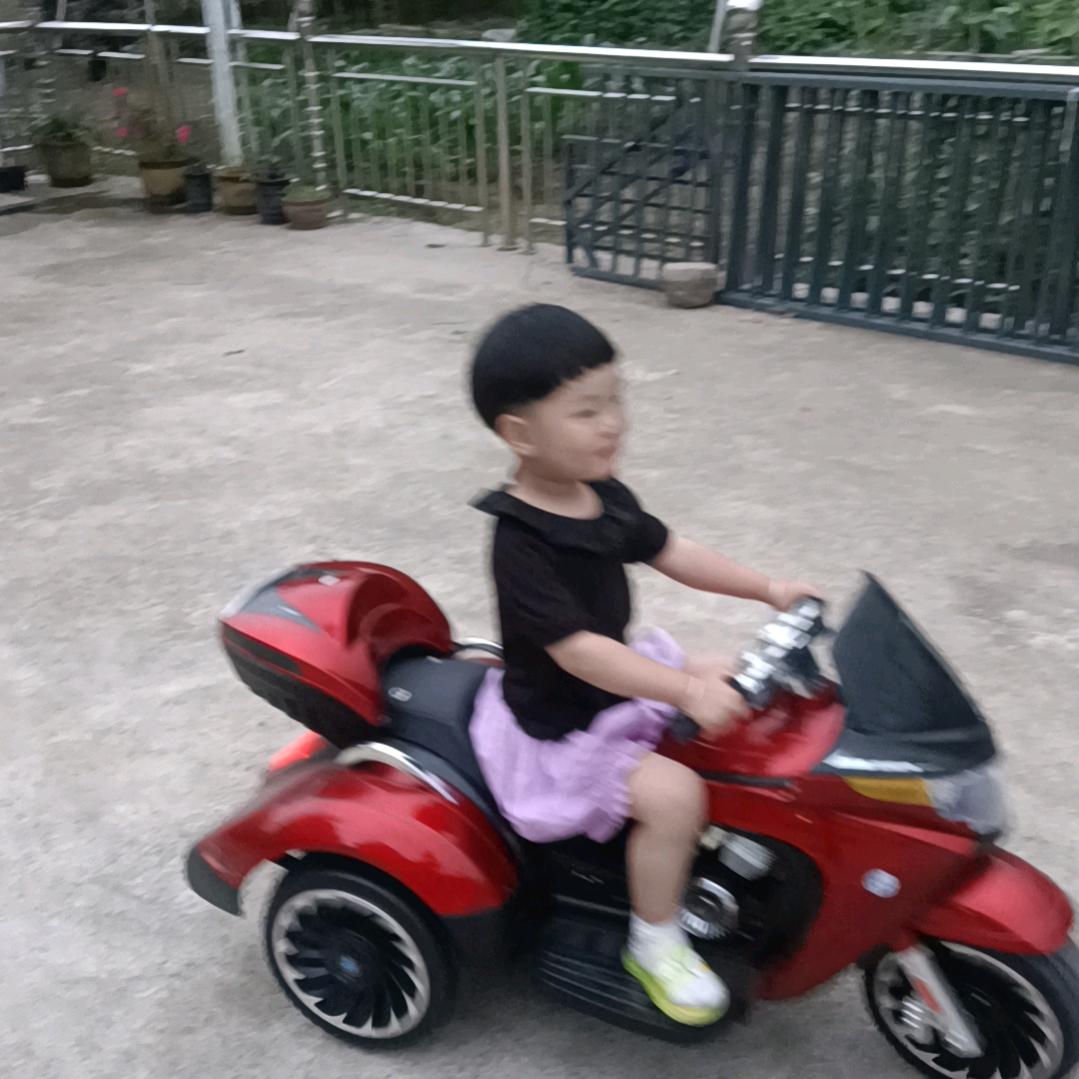 松不在高
