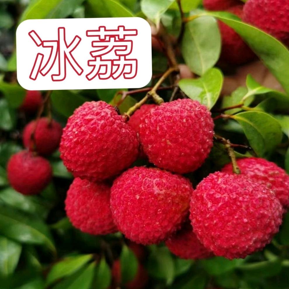 a18277772764