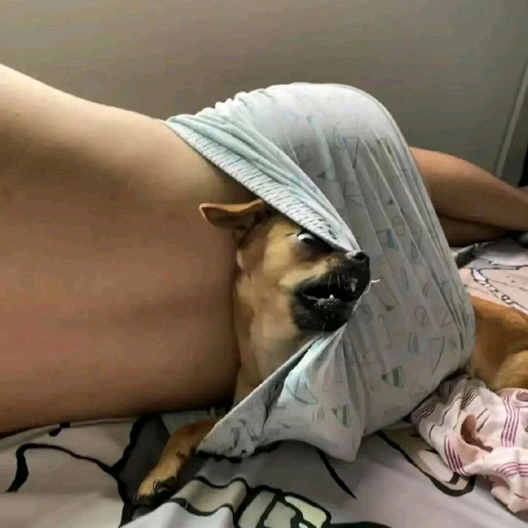 啊张的橱柜和衣柜