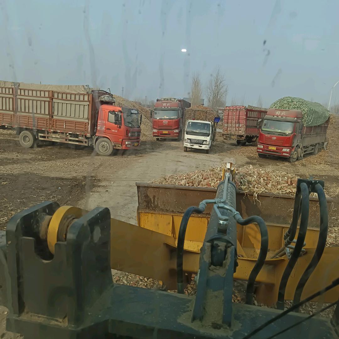 良相村阿园玉米芯收购