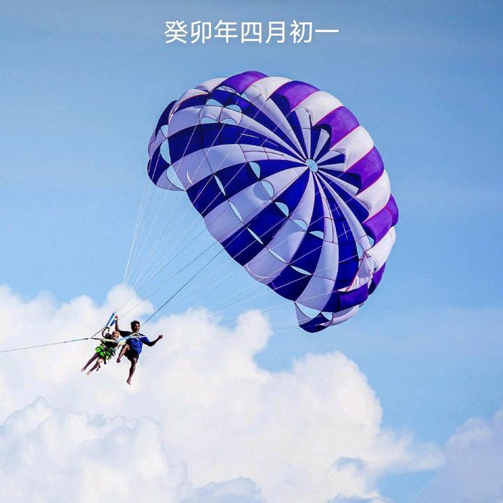 流泪的飞蛾