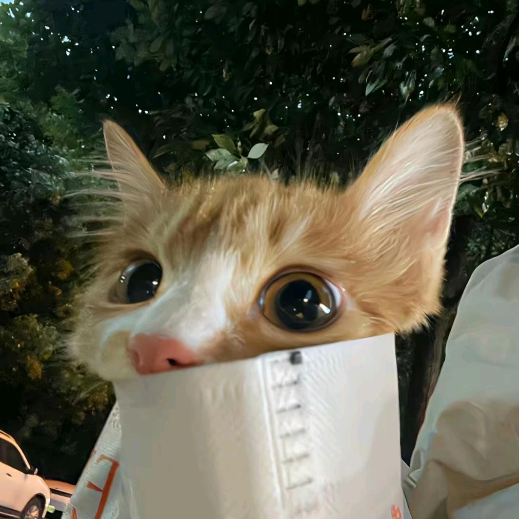 德州签手念念（可私❤️）