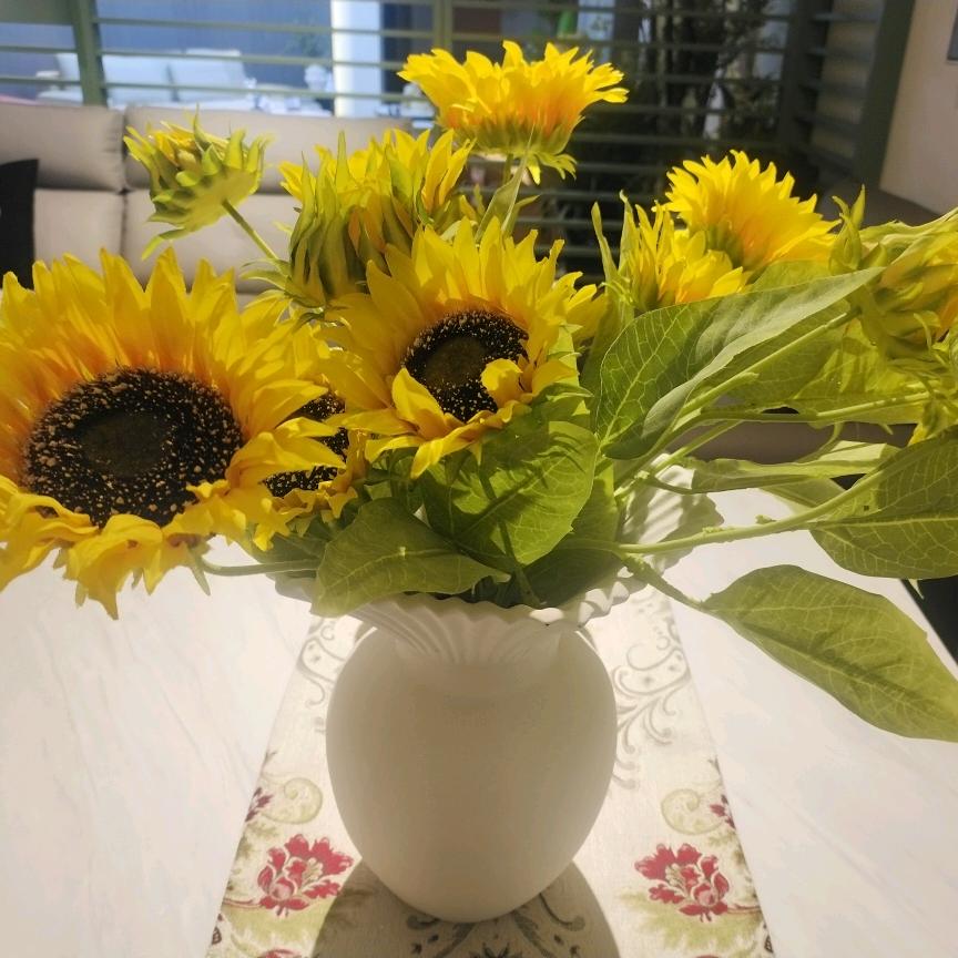 阳庄左右沙发*李家大院