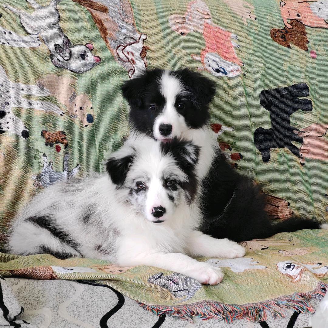 Hello❤️甜心很开心