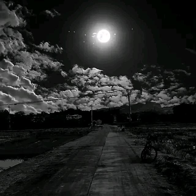 用户1542602246026