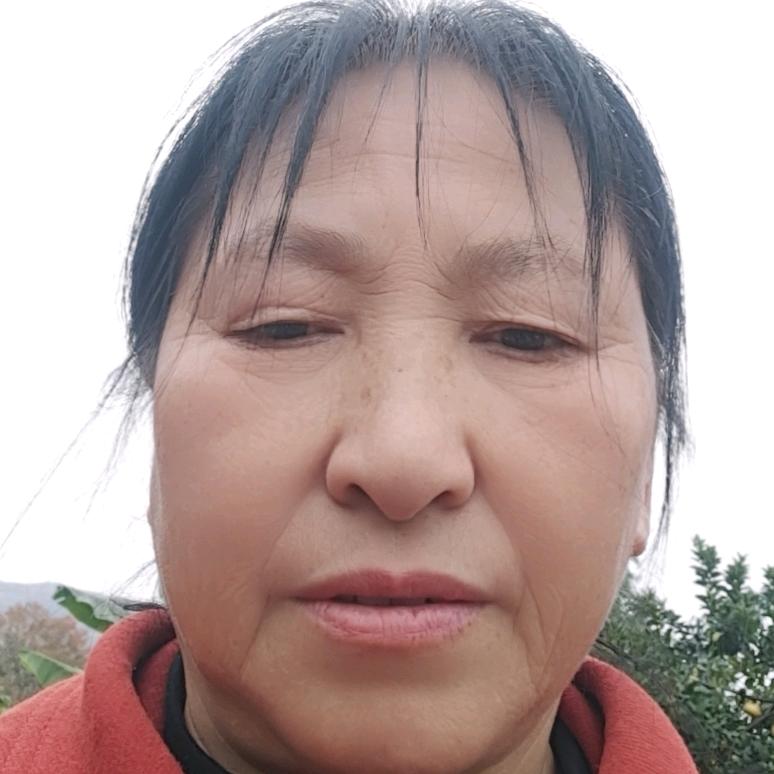 自由自在@