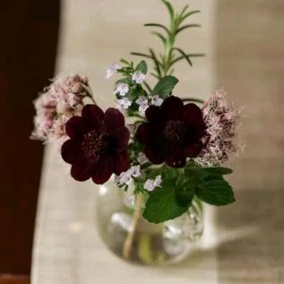 芳华