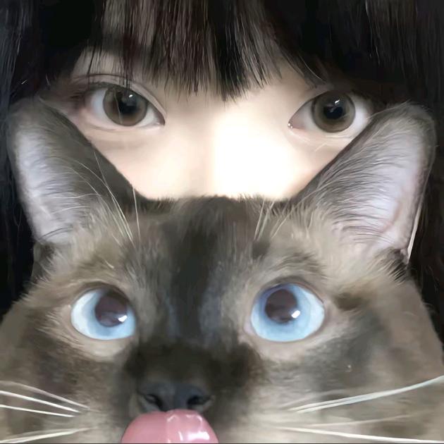 云雾☁️