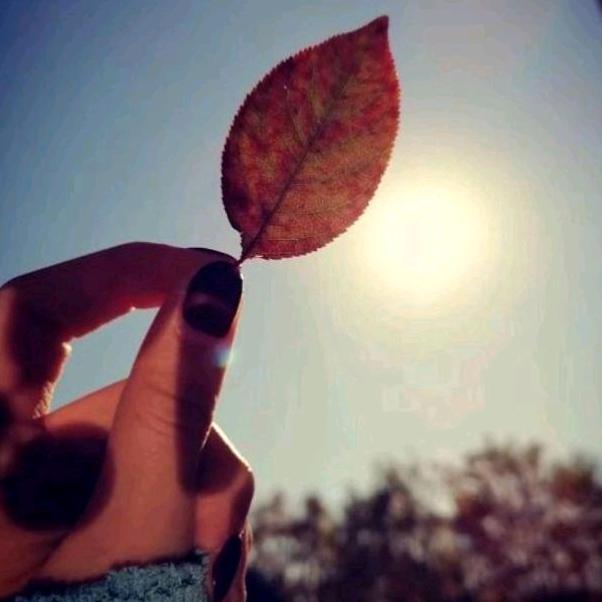 ལོ🍂མ