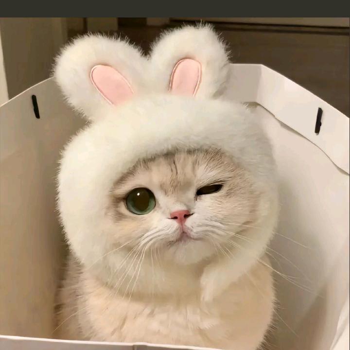 726