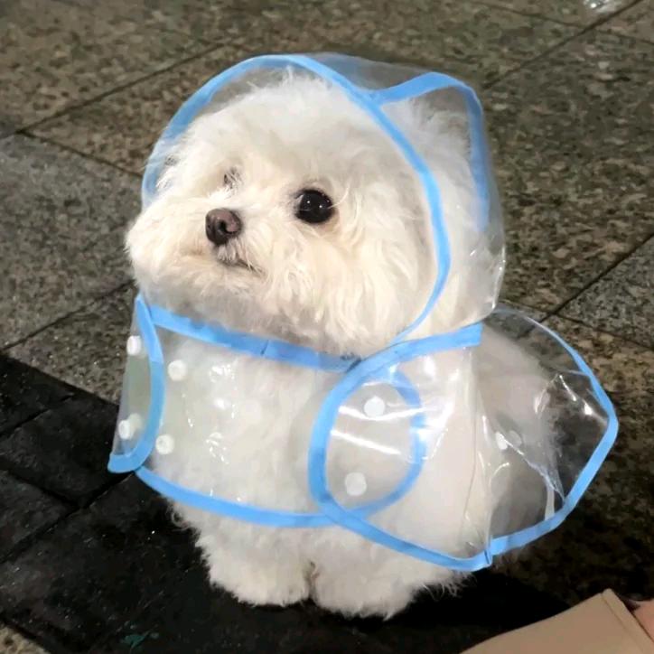 小福铁
