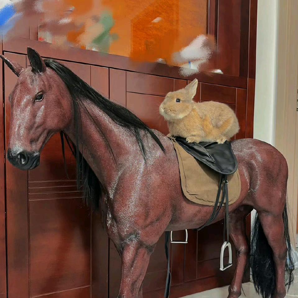 生命中最美的太阳