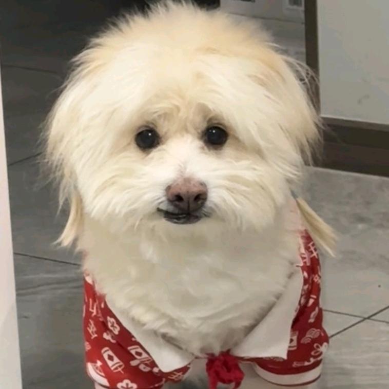 皮皮乖宝宝🐼可可爱爱🐼