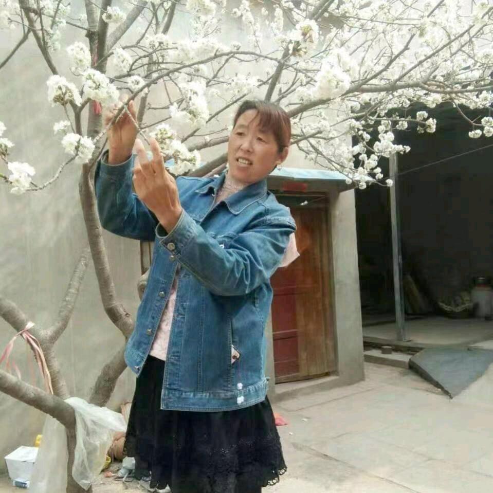 幸福来敲门