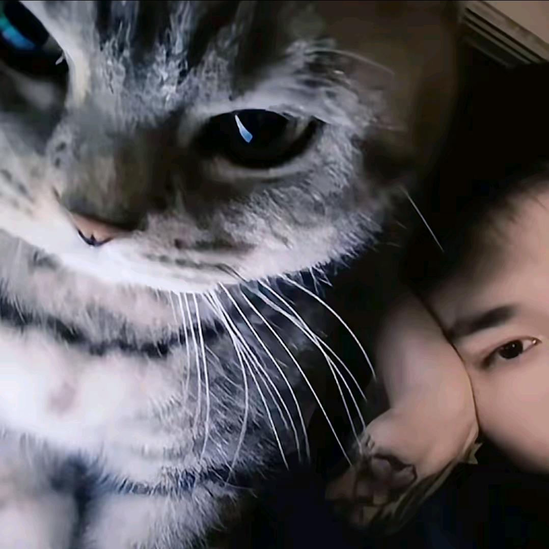 大花
