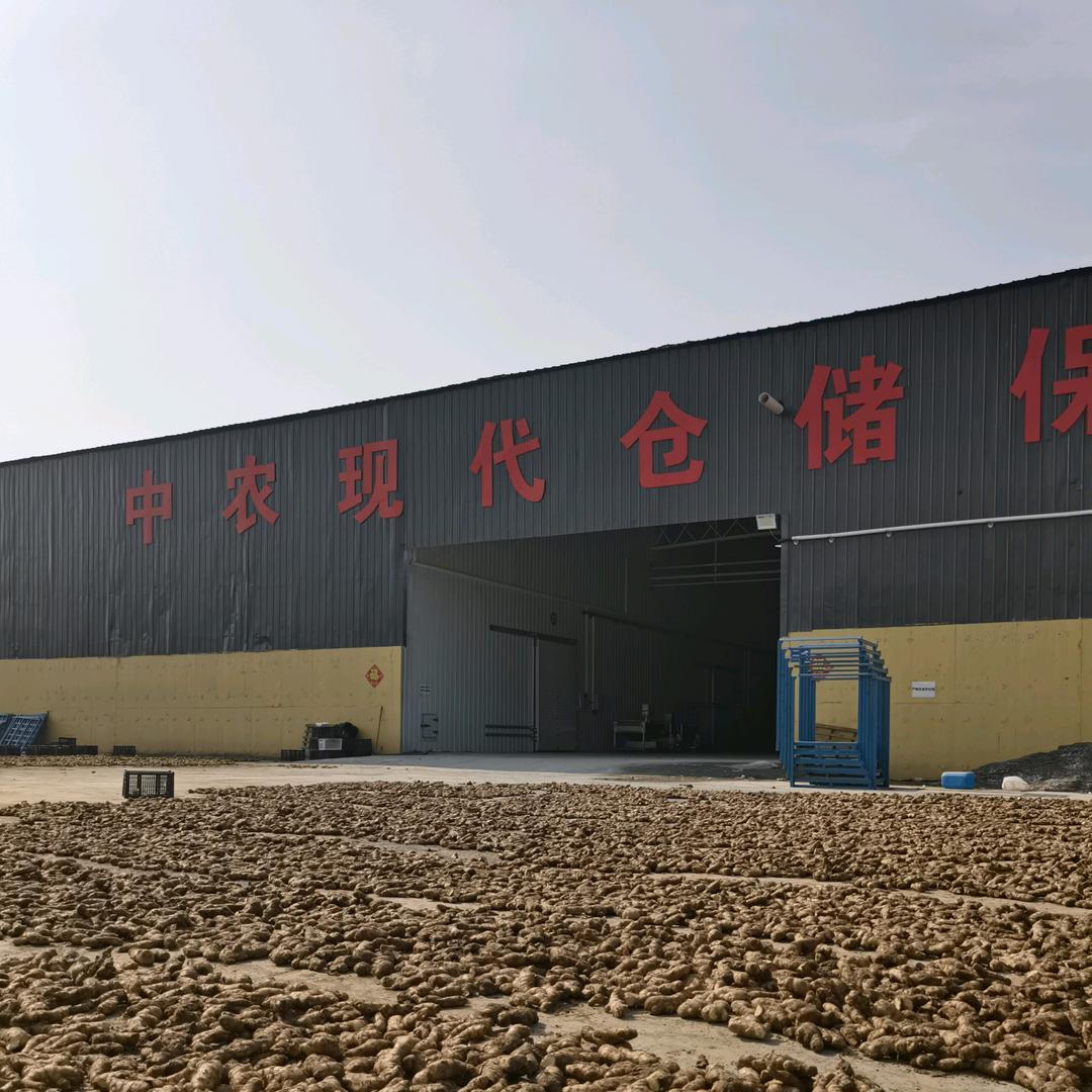 中农现代李掌柜