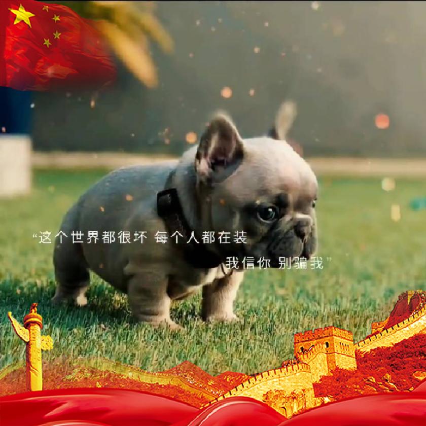 河南商丘市民权县龙塘镇（服装加工厂）