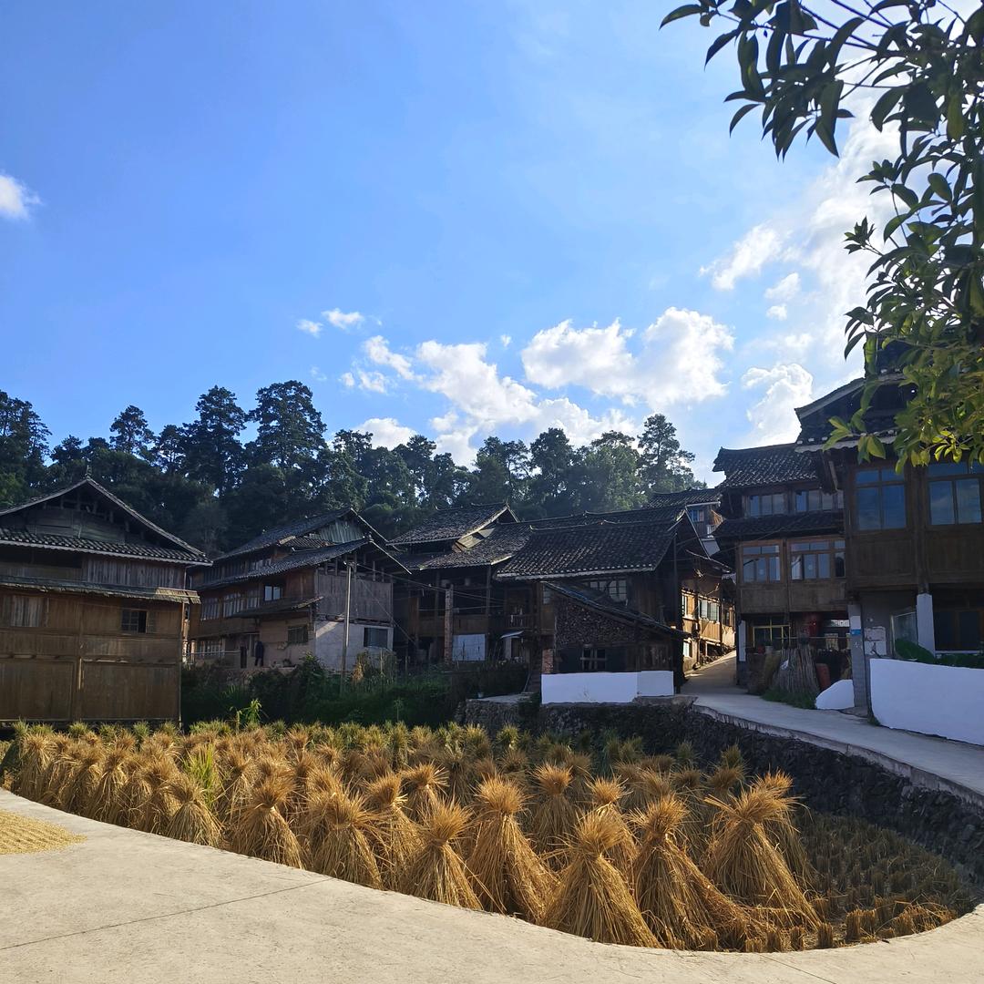 师山特产