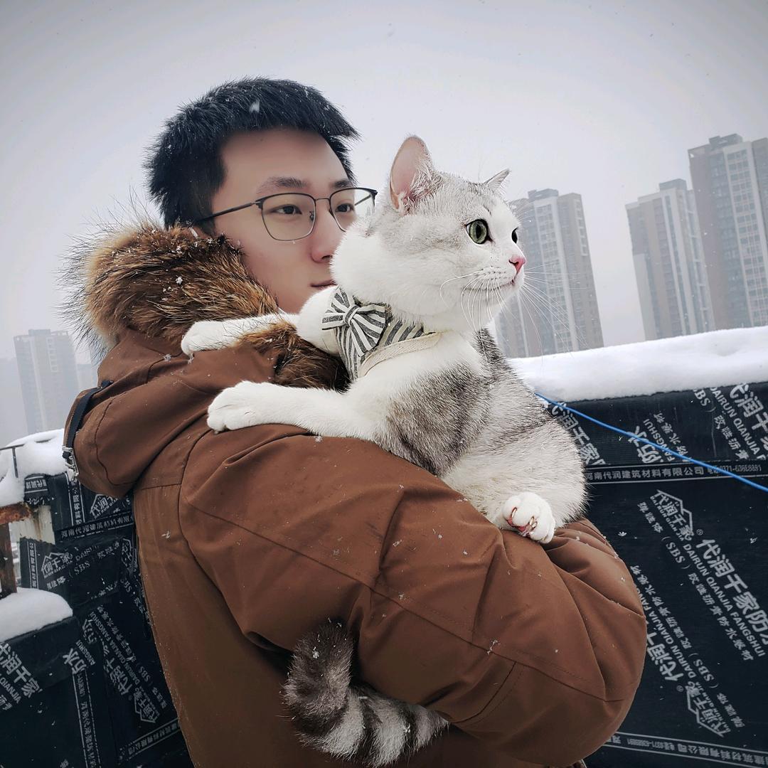 薯条是根猫