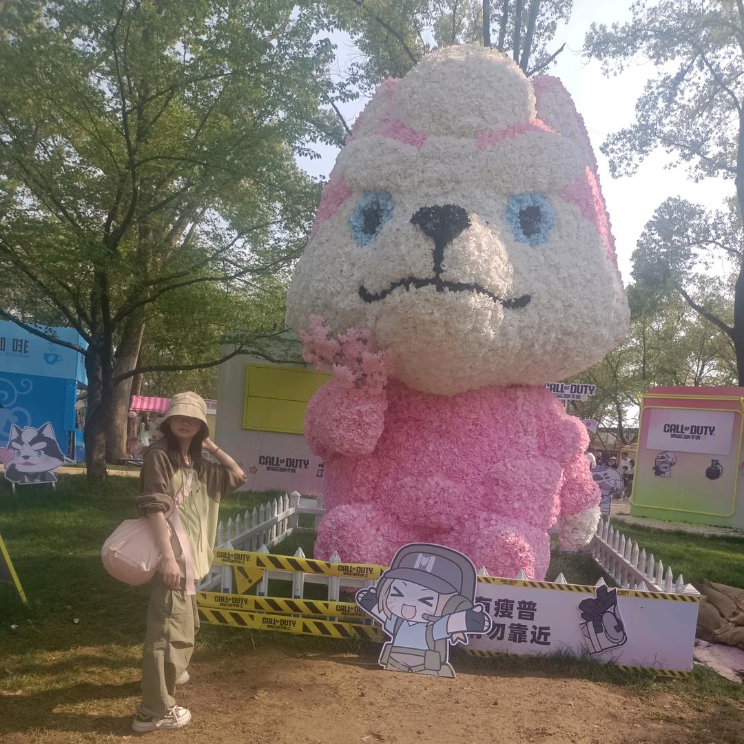 楠木坑