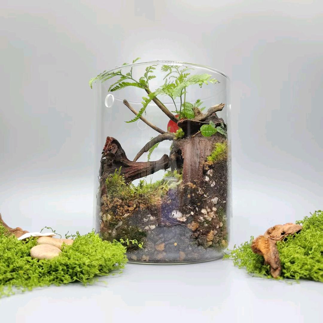 微景植物研究所