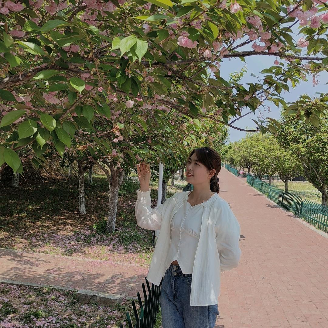 淄博箭牌卫浴居然之家店