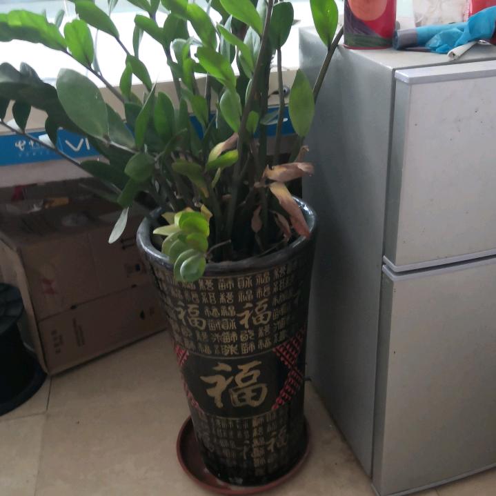 木工板子