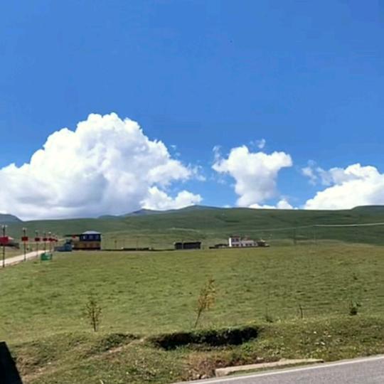 小暴龙