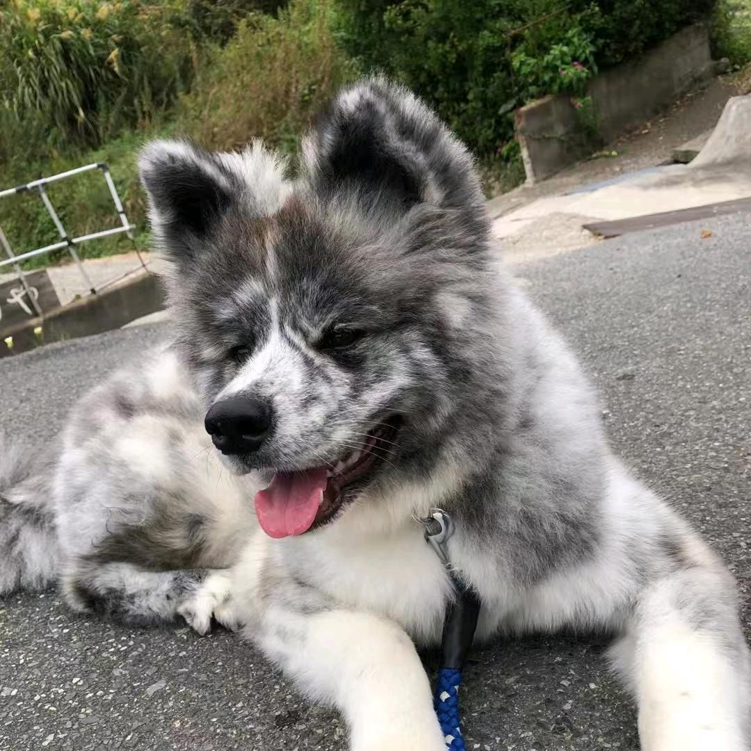 夏天