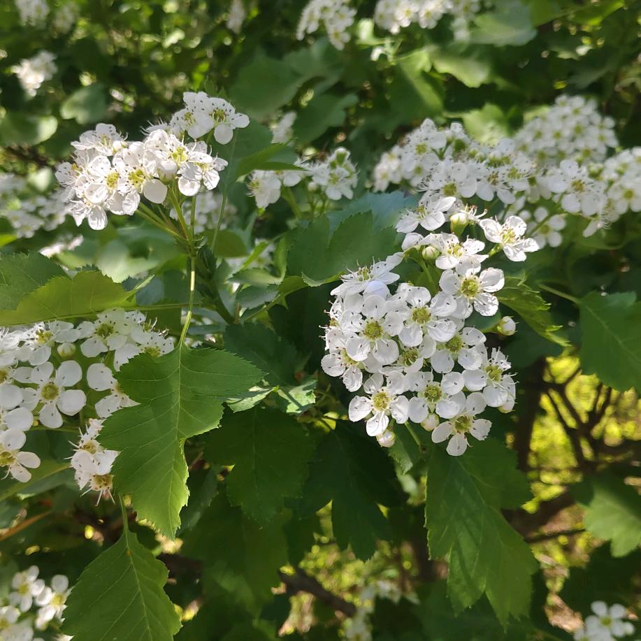 平顶山学业规划孔老师
